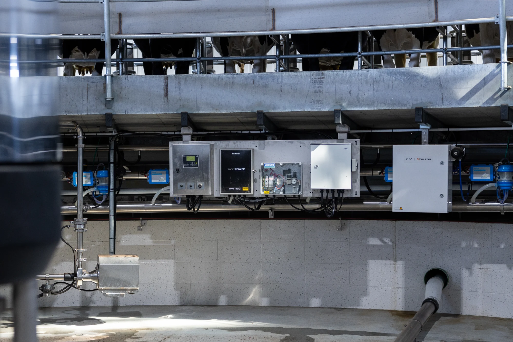 Electrical controls and equipment inside a working dairy shed